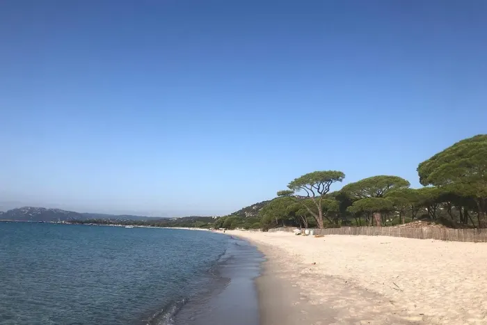 Eine der langen Sandstrandbuchten in Palombaggia